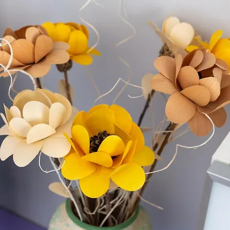 公寓 La Maison De L'adret 圣皮埃尔